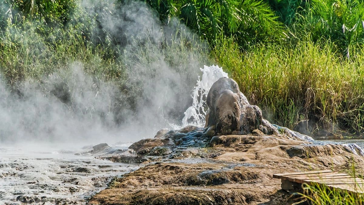 Murchison falls