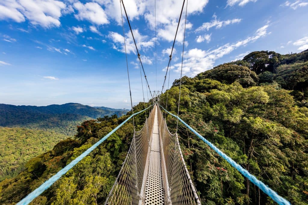 Nyungwe National Park