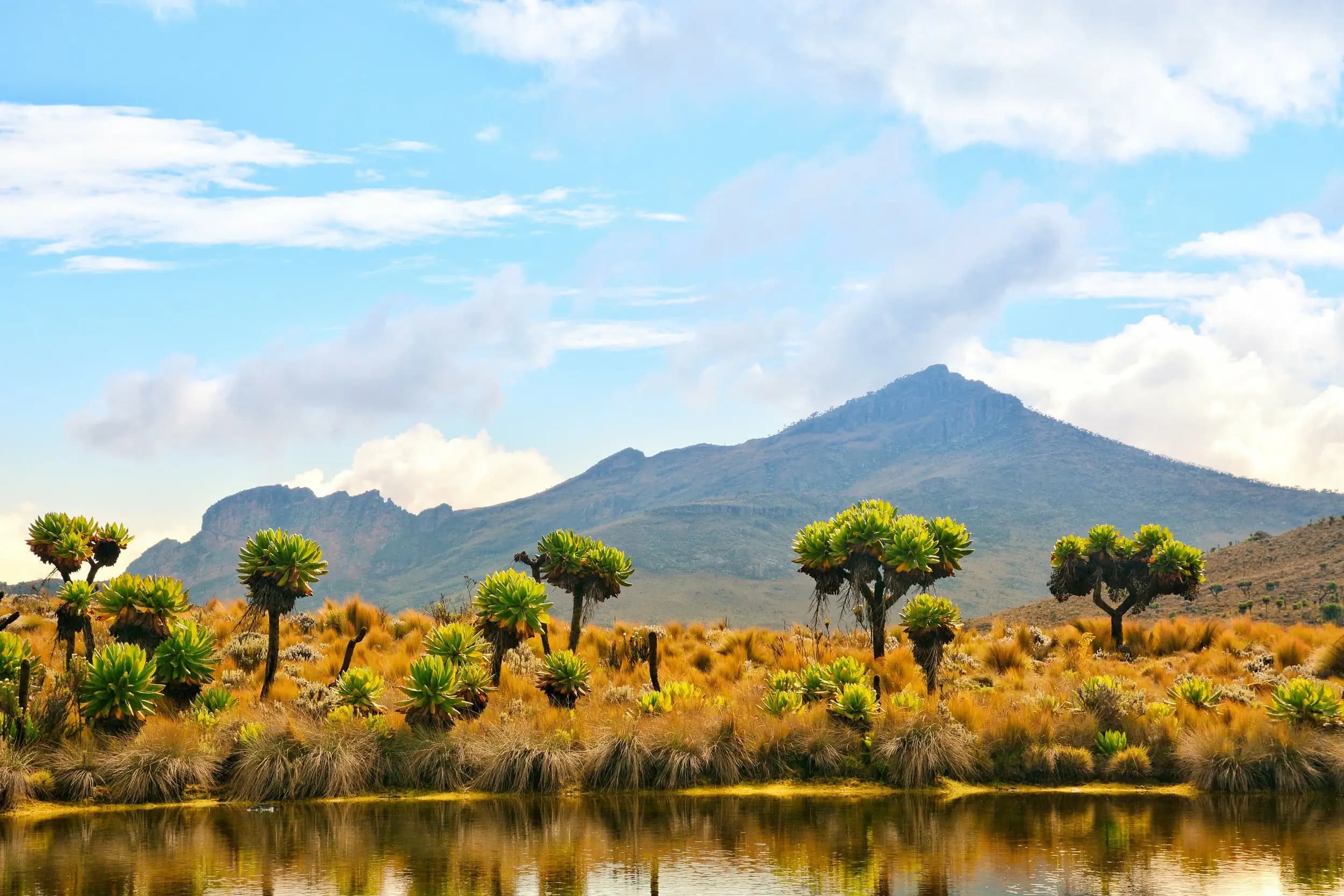 Mountain Elgon National Park