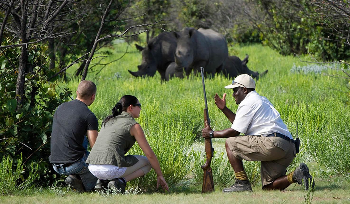 rhino family