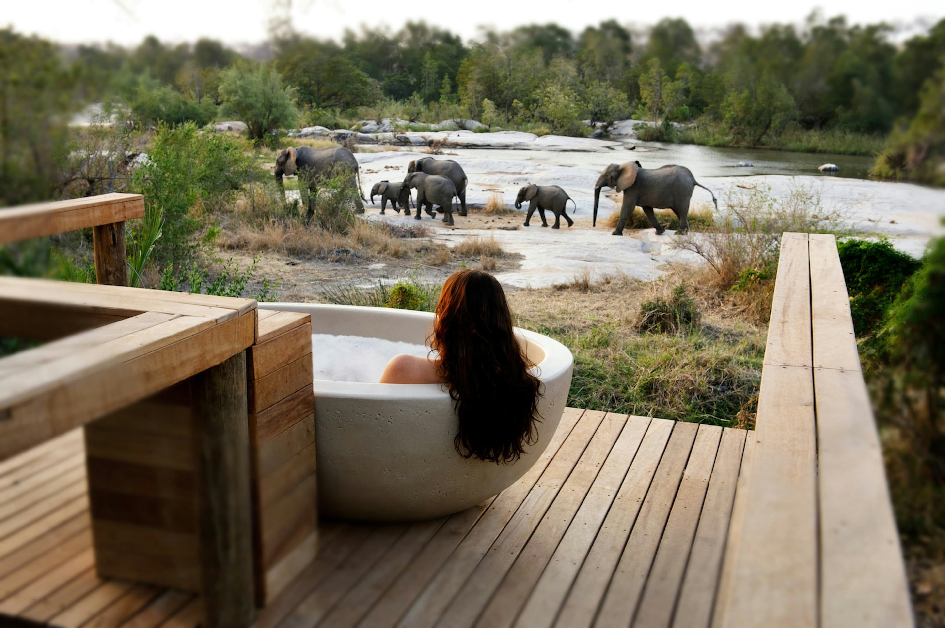 Luxury safari