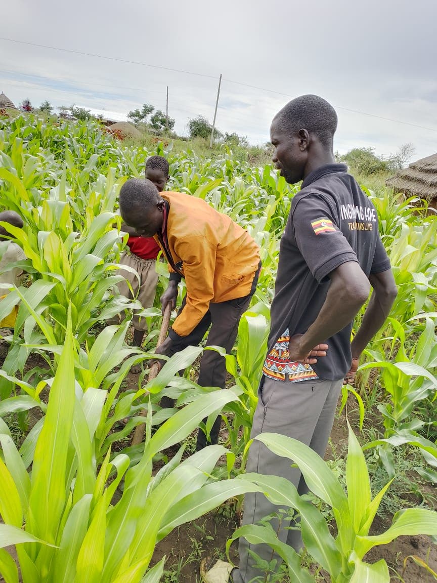 farming site