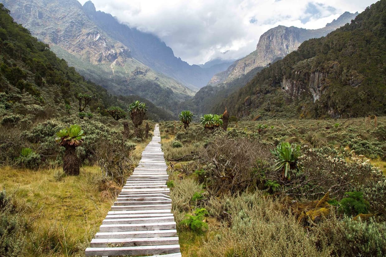 Hiking and nature walks