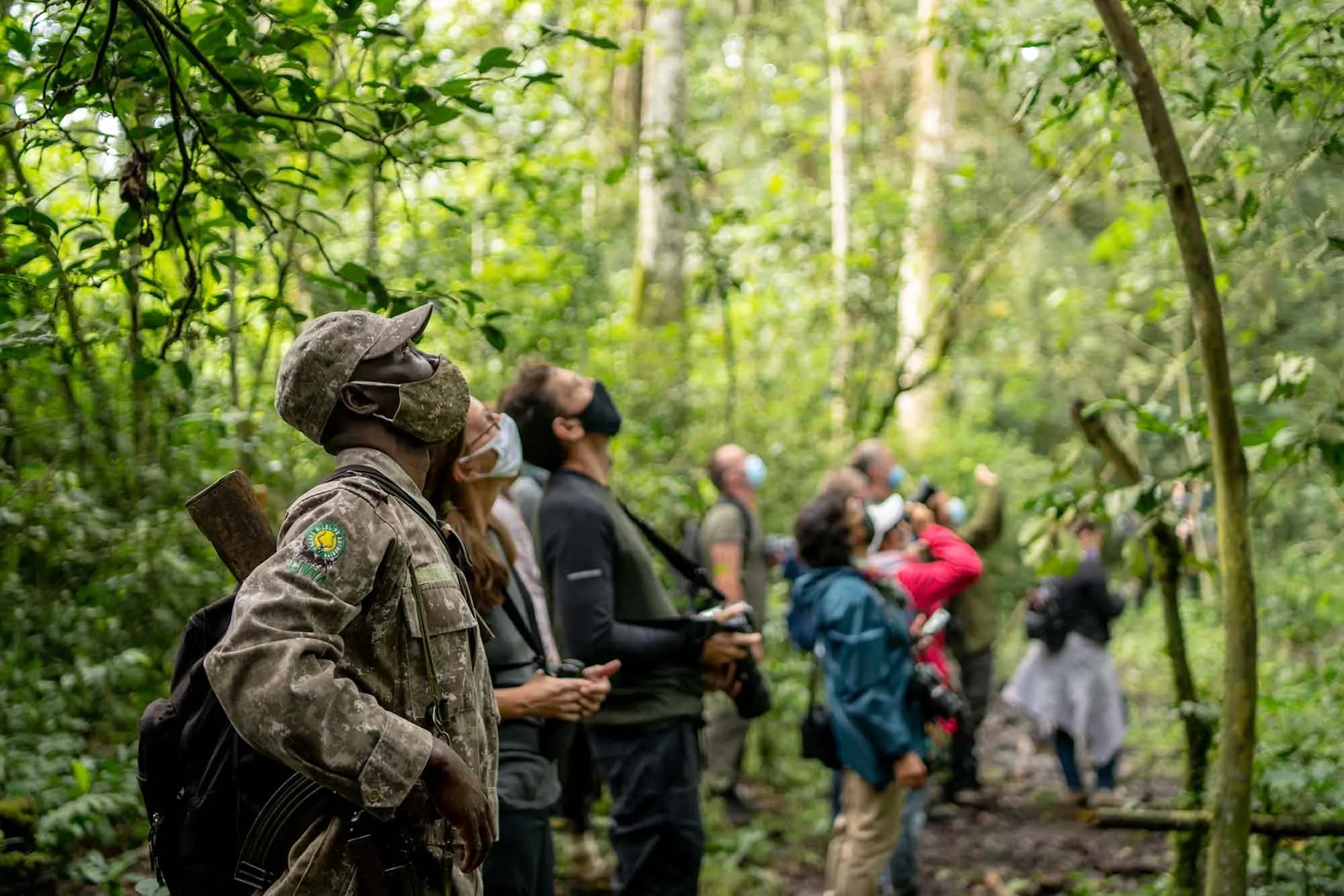 Kibale National Park - Uganda